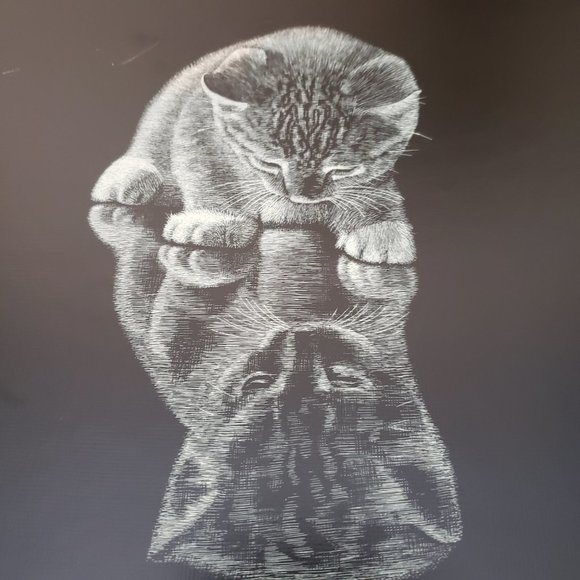 Vintage 70s Droguett Kitten Reflection Print Art Cute - Picture 5 of 12